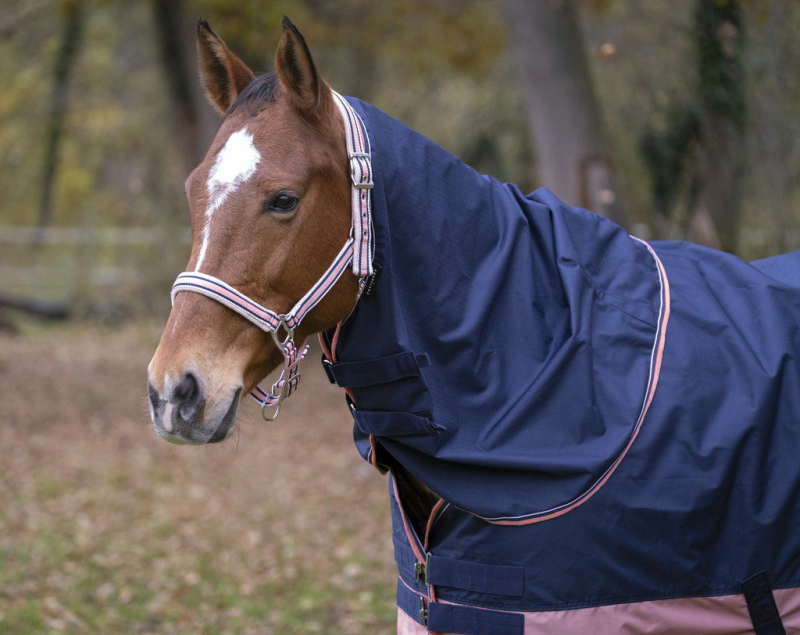 Couvre-cou EQUI-THÈME TYREX 600 D