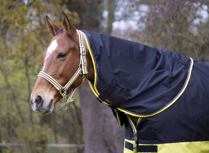 Couvre-cou EQUITHÈME TYREX 600 D reflective Poney