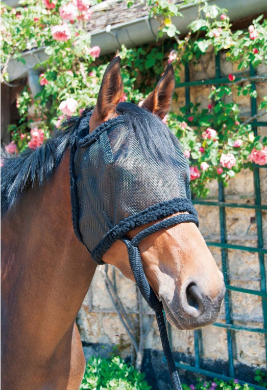 Bonnet de Pré Sans Oreilles TdeT