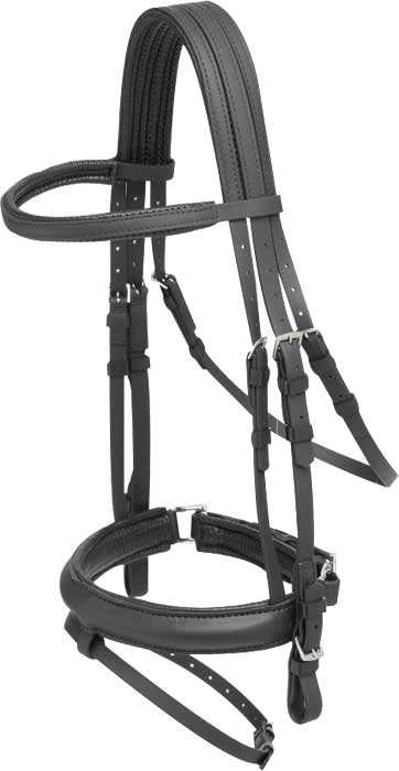 Bridon de dressage Zilco