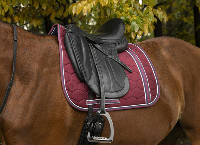Tapis de selle Equithème Ligne10
