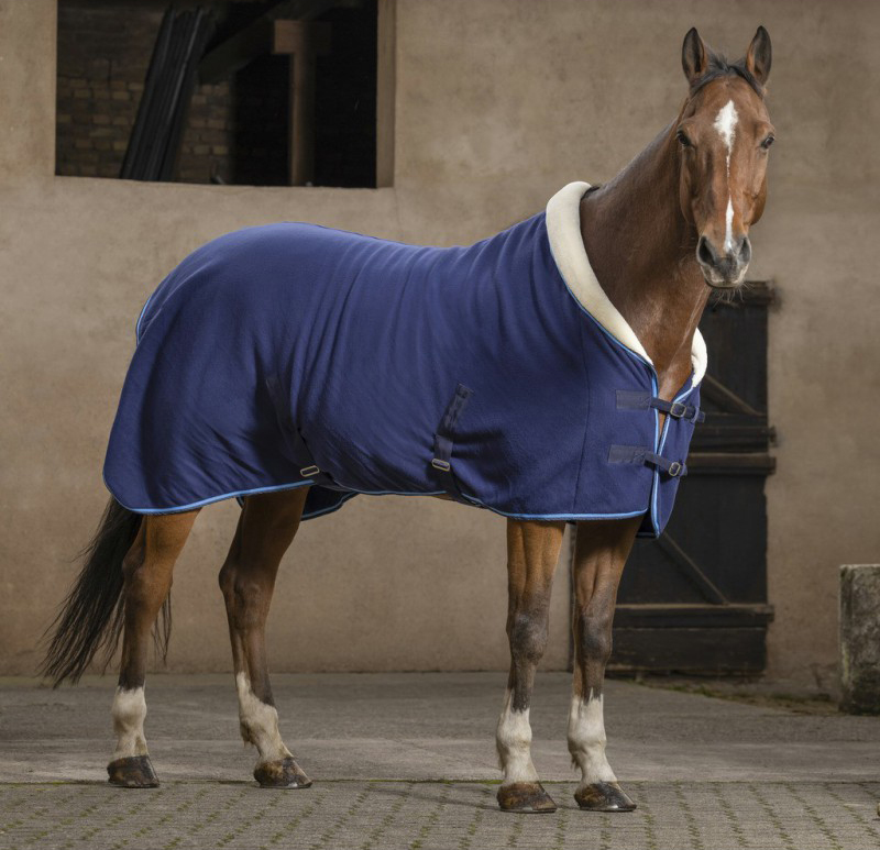 Chemise Riding World Confort