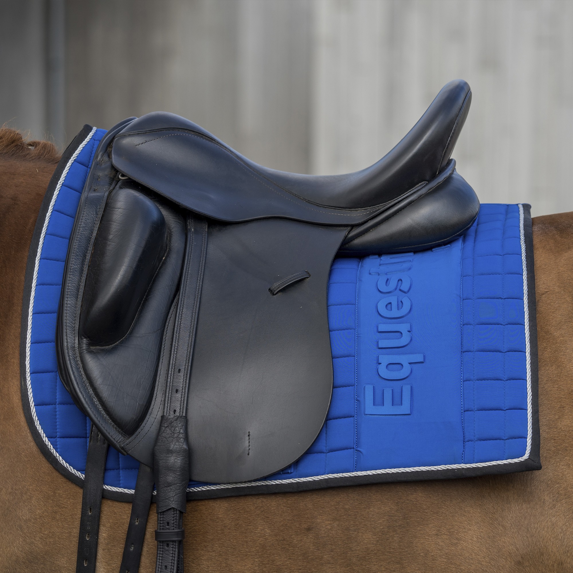 Chabraque Dressage Equestrian pro Embossed