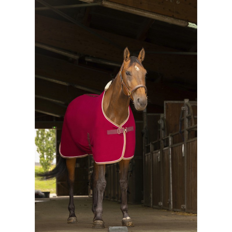 Chemise polaire EQUITHEME Polyfun1