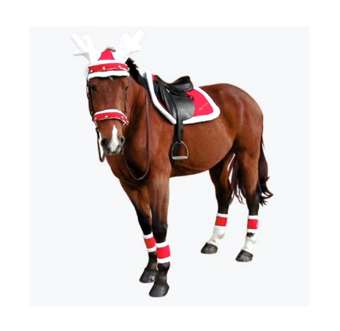 Articles de Noël pour cheval, cavalier et chien