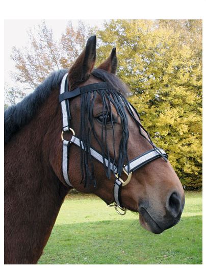 Chasse Mouche à Franges - Anti-mouche Cheval pour licol ou filet