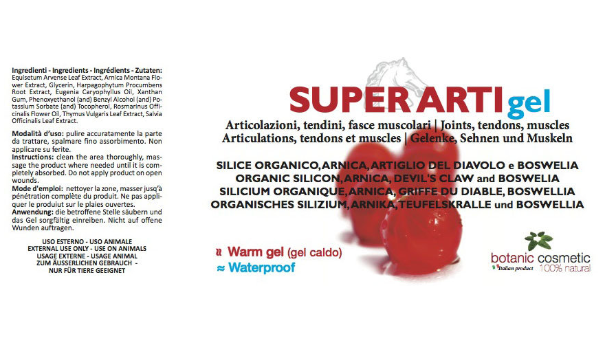 Gel OFFICINALIS Super Arti2