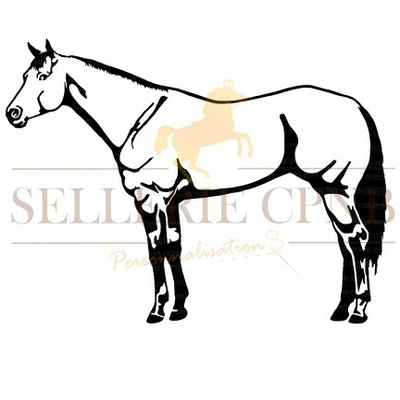 Sticker Quarter horse
