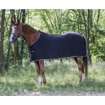 Chemise polaire RIDING WORLD