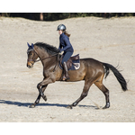 Chabraque dressage Outdoor Experience4