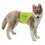 Gilet de sécurité fluorescent pour chien