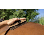 Brosse extra-douce HIPPOTONIC1