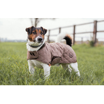 Manteau pour chien Back on Track Haze Collection2