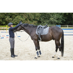 Tapis de selle Equithème Ligne14