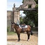 Selle western WESTRIDE Topeka pour poney, âne et cheval2