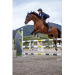 Veste de concours EQUITHÈME Bordo Homme8