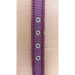 Collier Chien Dakota2