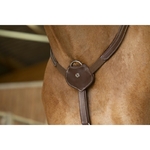 Collier de chasse NORTON PRO4