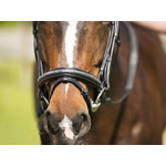 Bridon RIDING WORLD Paillette muserolle combinée2