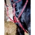 Collier De Chasse Biotack® TdeT