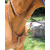 Martingale à anneaux élastique Brio Treadstone