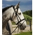 Bridon AFTER RIDING Polo