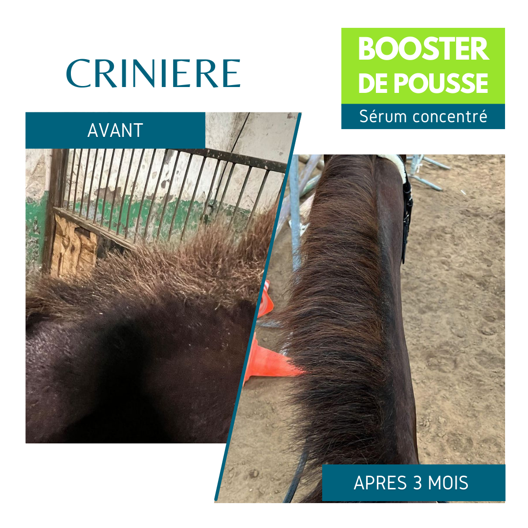 BOOSTER DE POUSSE - CRINIERE - EQUI COSMETIQUE