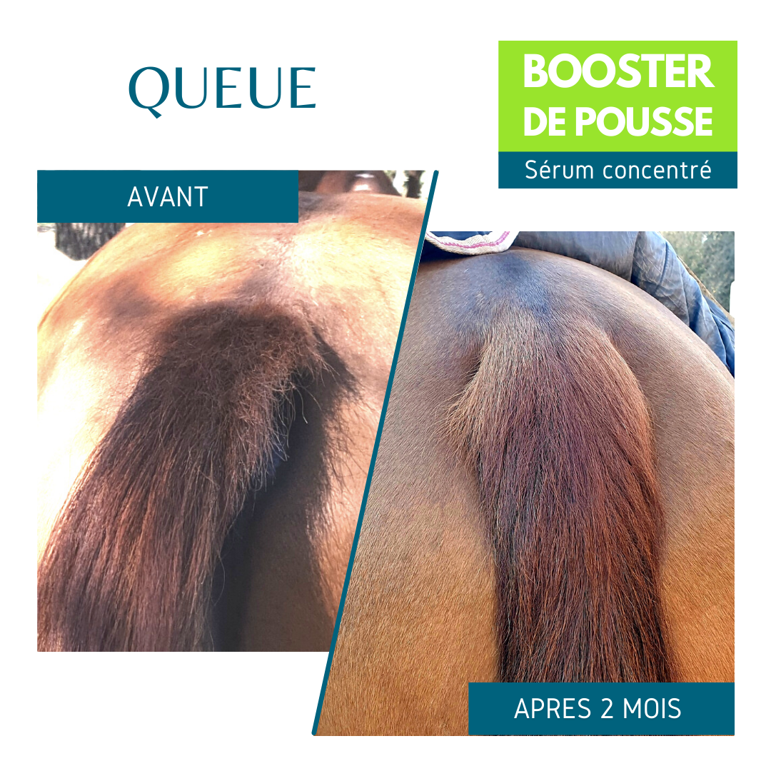 SOIN NATUREL BIO BOOSTER DE POUSSE - CRINS DE LA QUEUE - EQUI COSMETIQUE