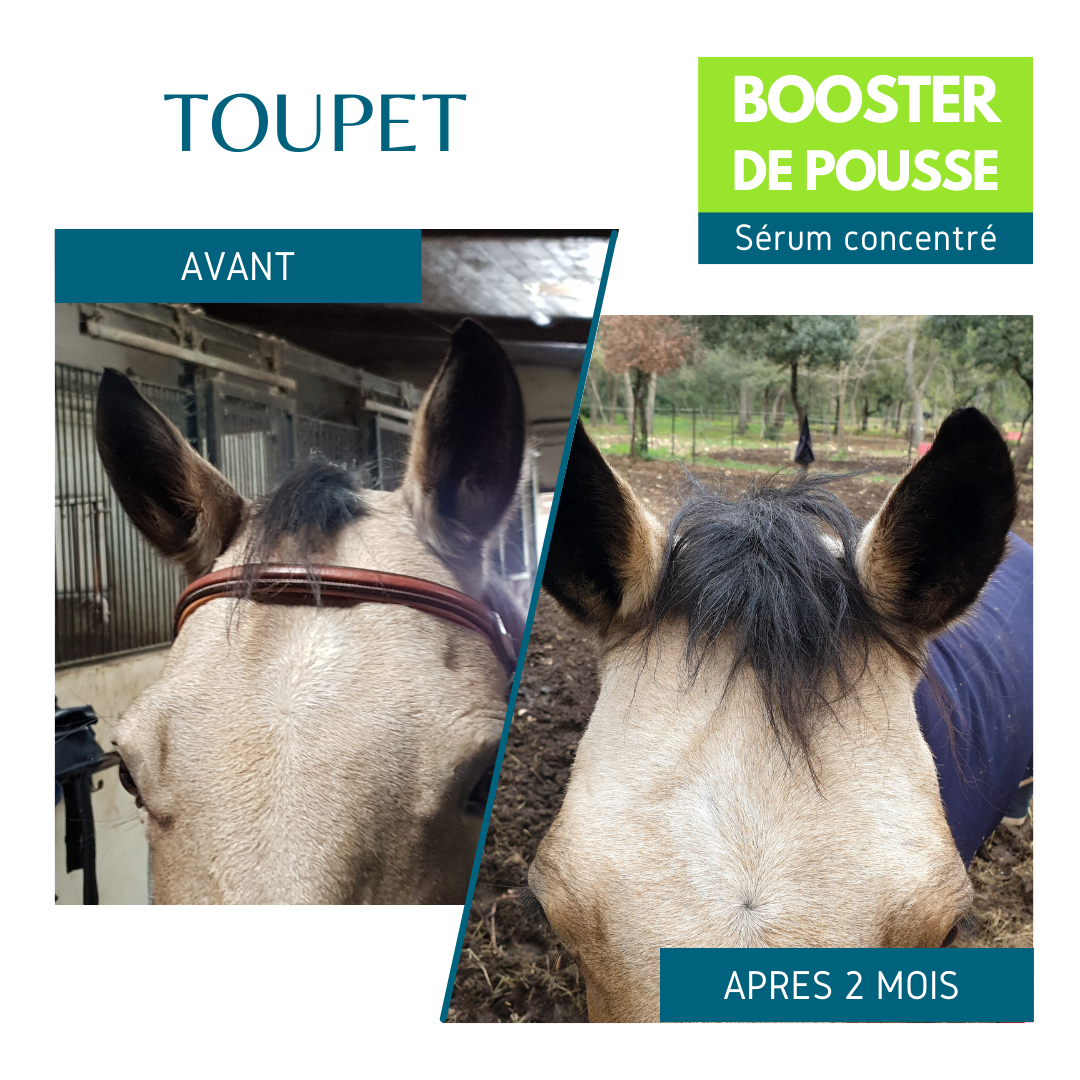 SOIN NATUREL ACCELERE LA POUSSE DES CRINS DU TOUPET - BOOSTER DE POUSSE - EQUI COSMETIQUE