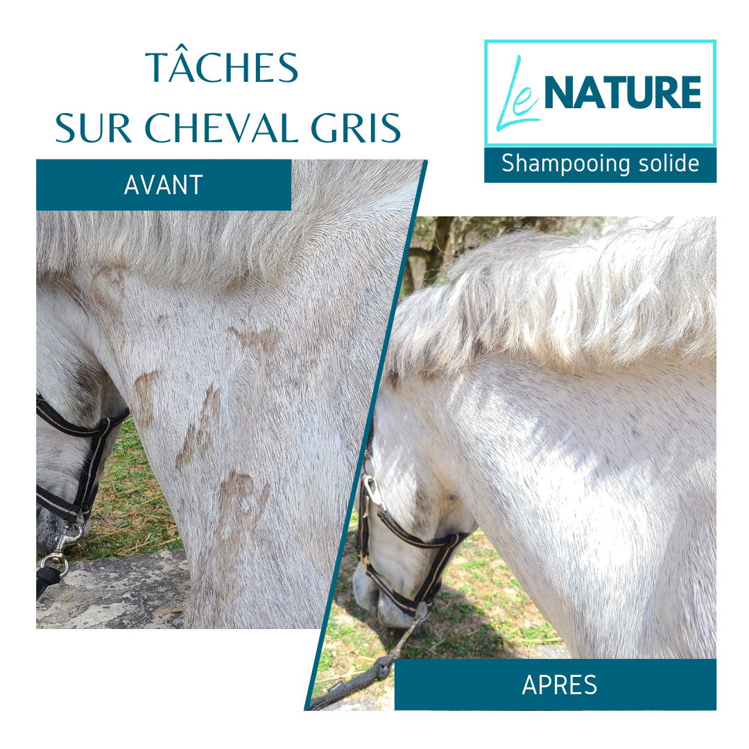 shampooing cheval gris - Shampooing solide Le nature Equi Cosmétique