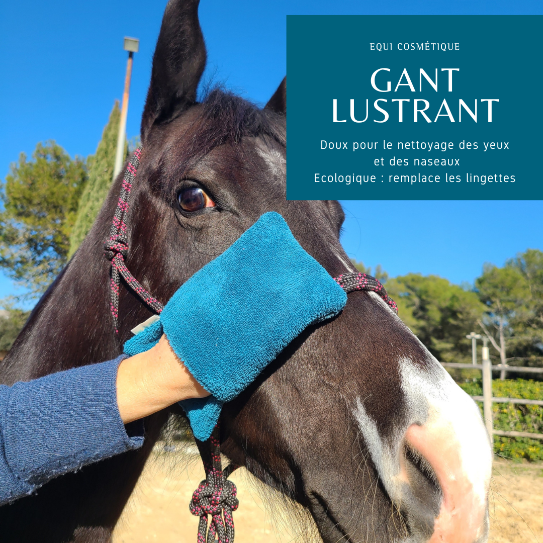 GANT DE PANSAGE POUR LE CHEVAL - EQUI COSMETIQUE