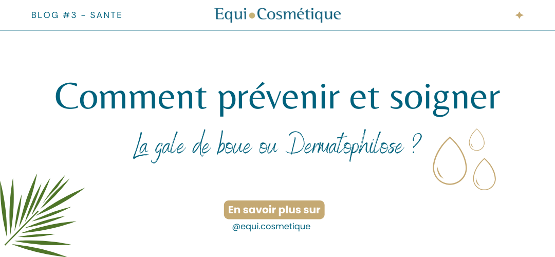 Gale de boue : Comment prévenir son apparition et comment la soigner ?