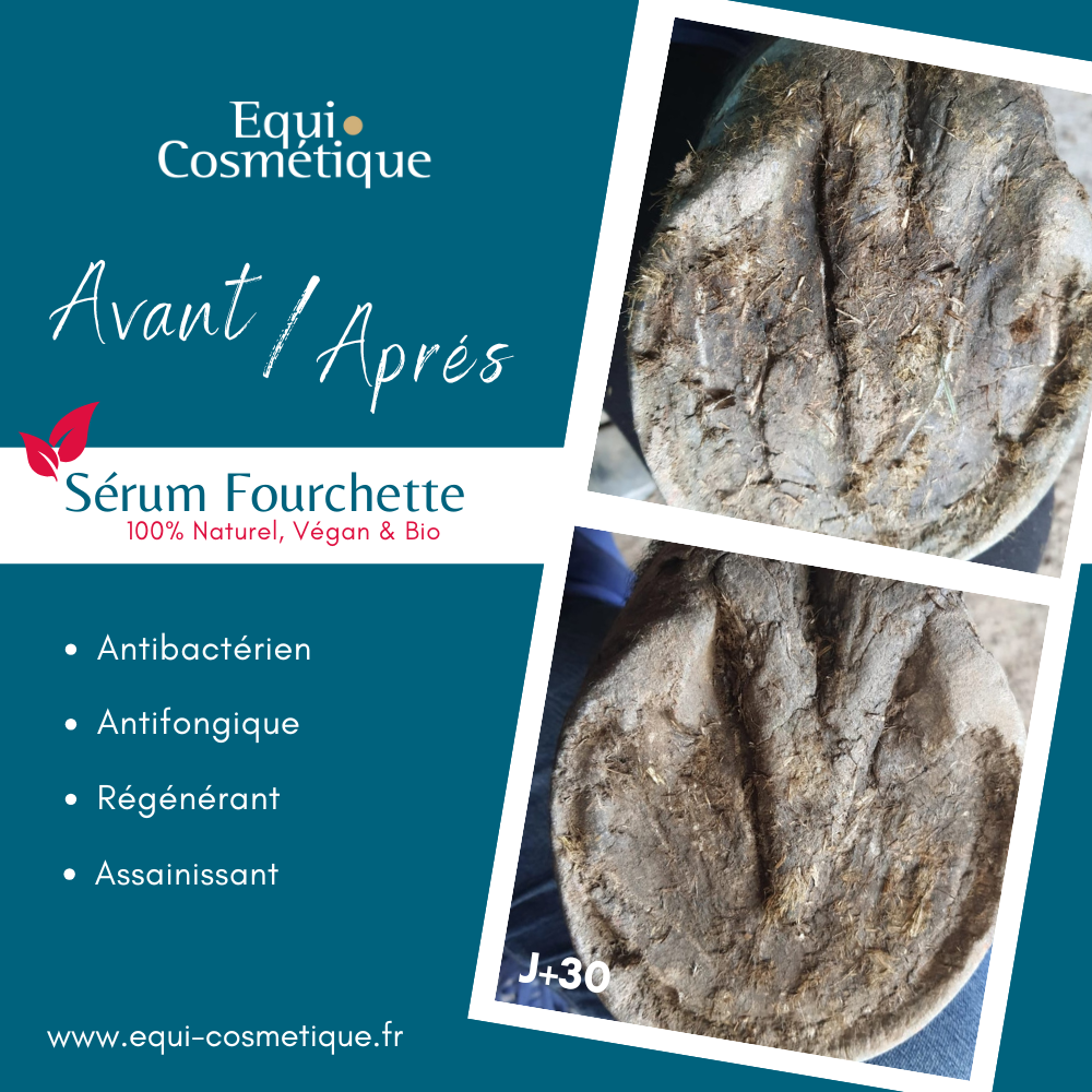 Equitnol Anterieur gauche (2)