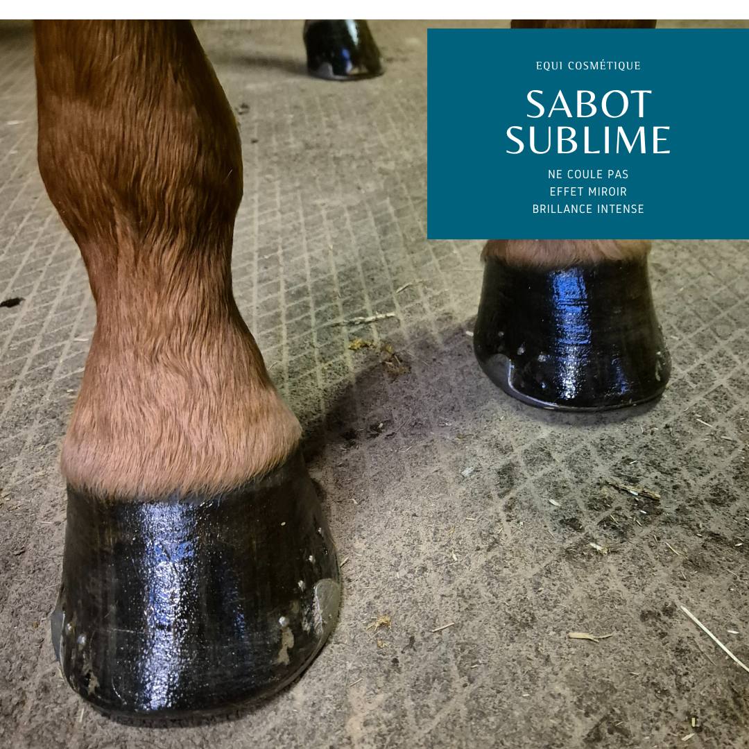PRODUIT DE SOIN NATUREL SABOT NOIR CHEVAL EQUI COSMETIQUE