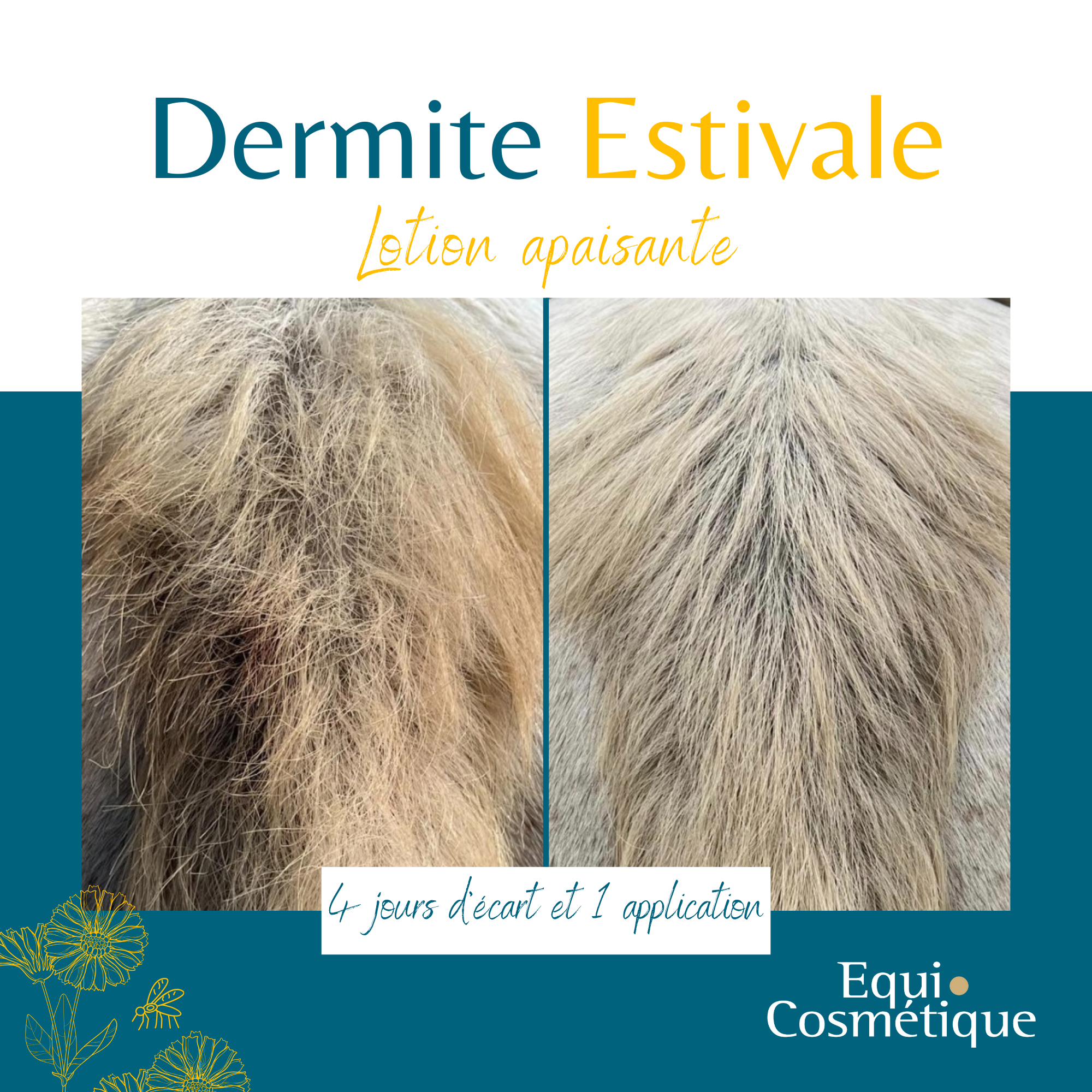 Produit apaisant naturel contre la dermite estivale insecte
