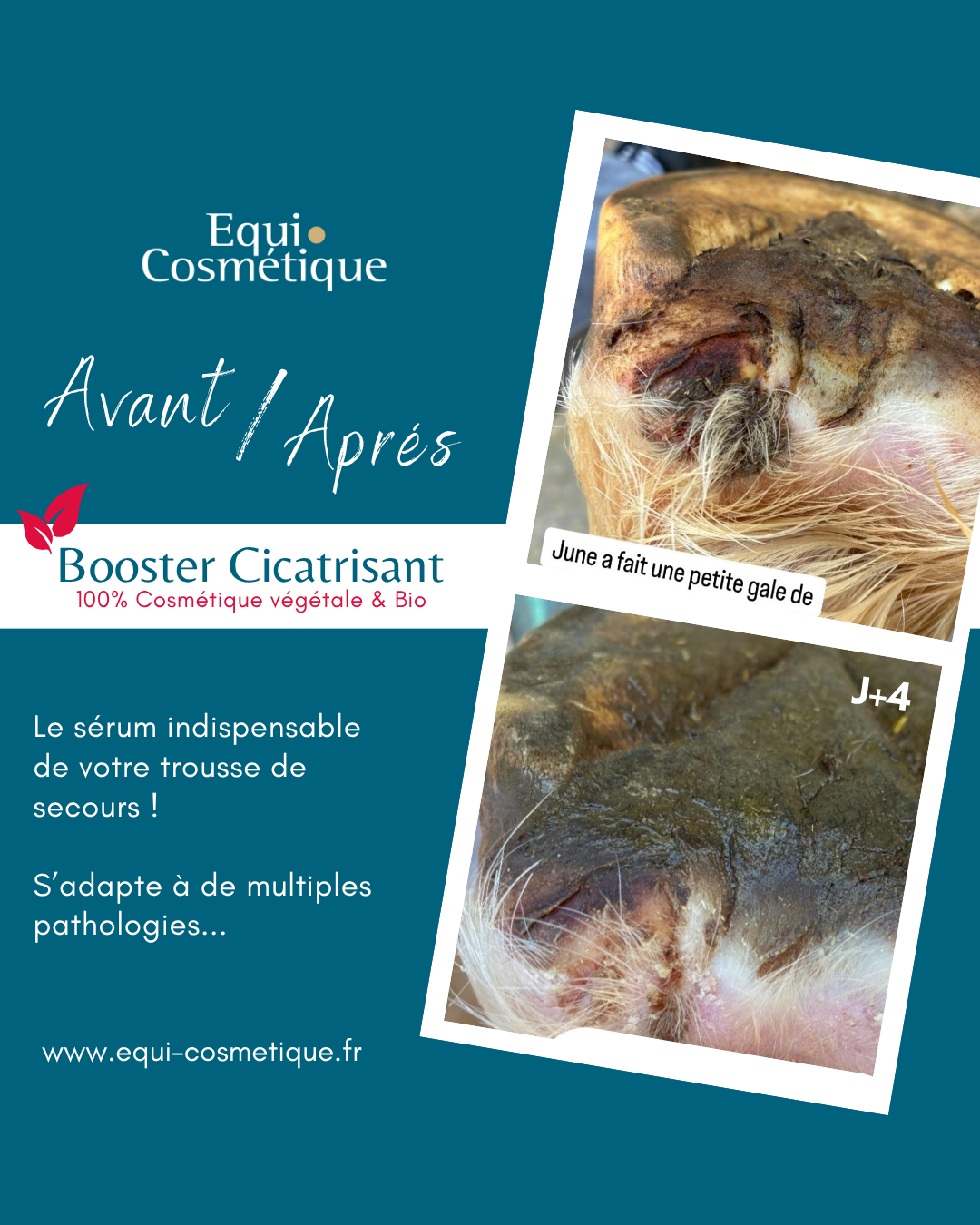 SOIN BLESSURE CHEVAUX - PRODUIT CICATRISANT CHEVAL NATUREL SANS ALCOOL SANS HUILE ESSENTIELLE - EQUI COSMETIQUE