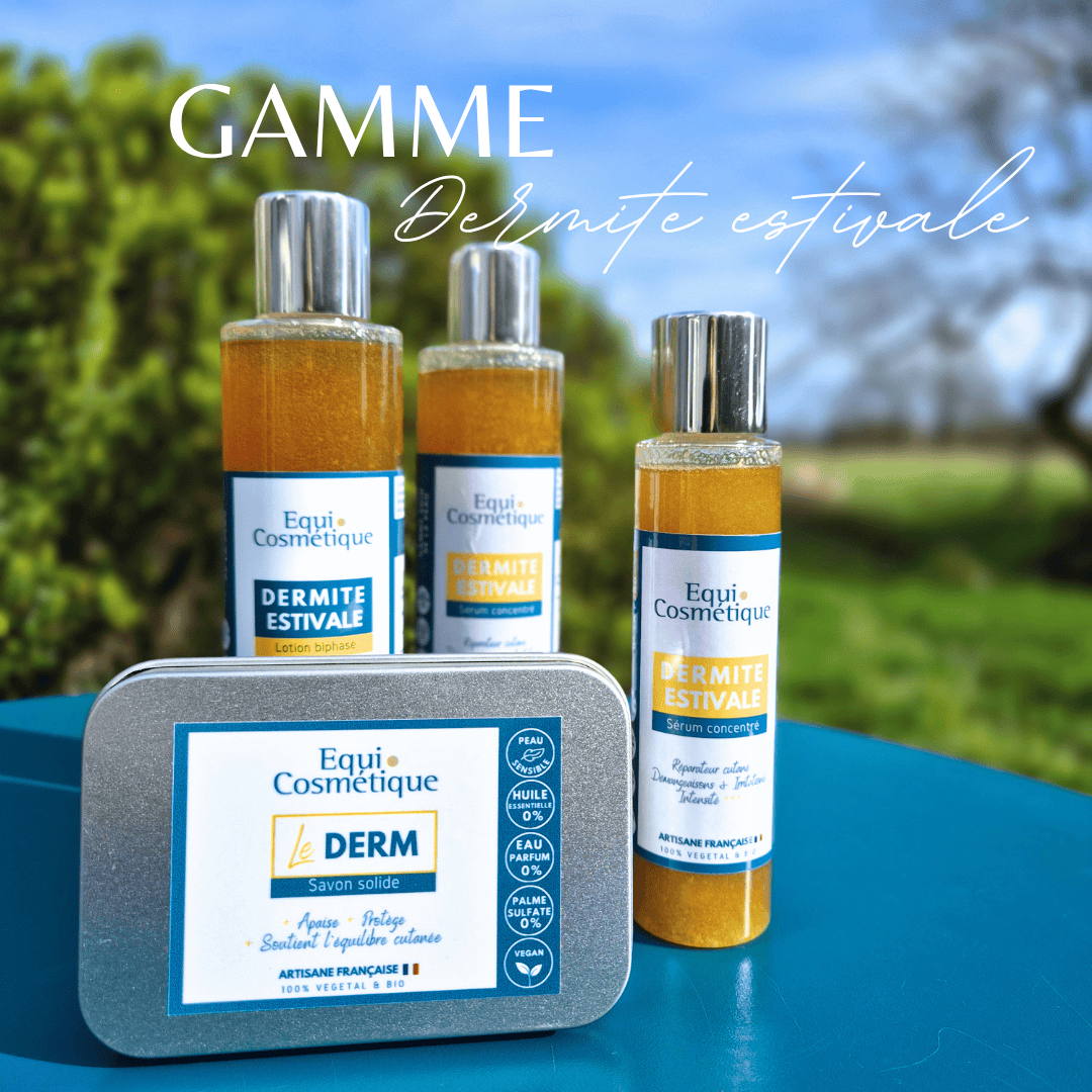 SOIN DE LA DERMITE