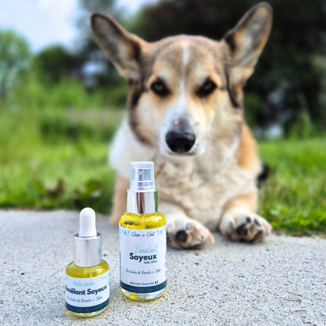 demelant chien poils longs - noeux difficiles - Demelant soyeux Equi Cosmétique