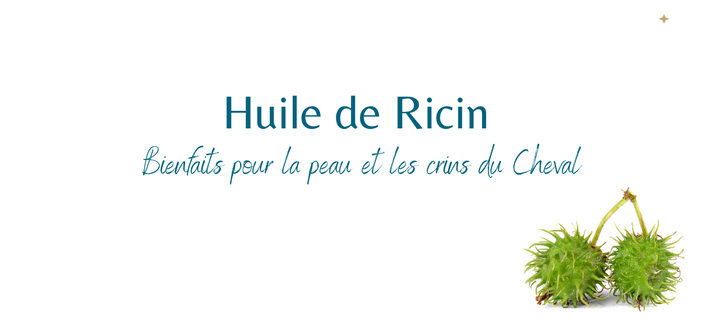 Quels sont les bienfaits de l'huile de Ricin sur vos cheveux et les crins des chevaux ?