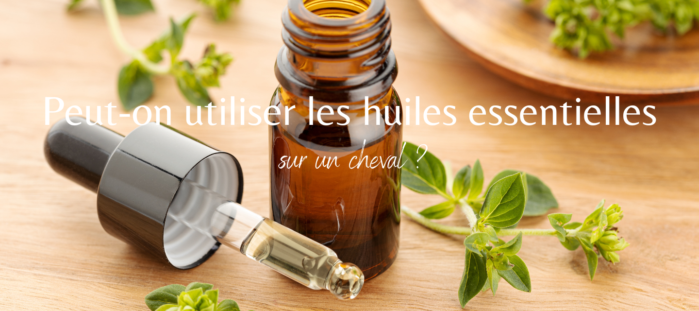 Peut-on utiliser les huiles essentielles sur un cheval ?