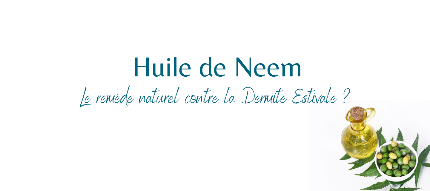 Huile de Neem pour chevaux : Bienfaits, usages et précautions contre la dermite estivale