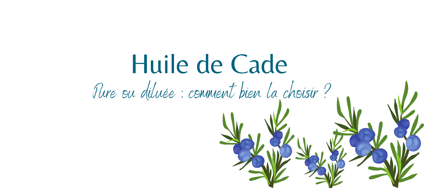 Huile de cade pure ou diluée : comment choisir le bon soin pour votre cheval ?