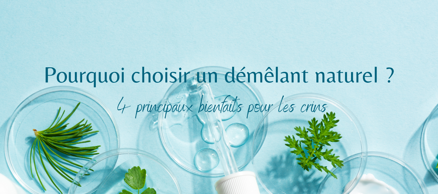 Les 4 bienfaits d'un démêlant naturel pour les crins de votre cheval