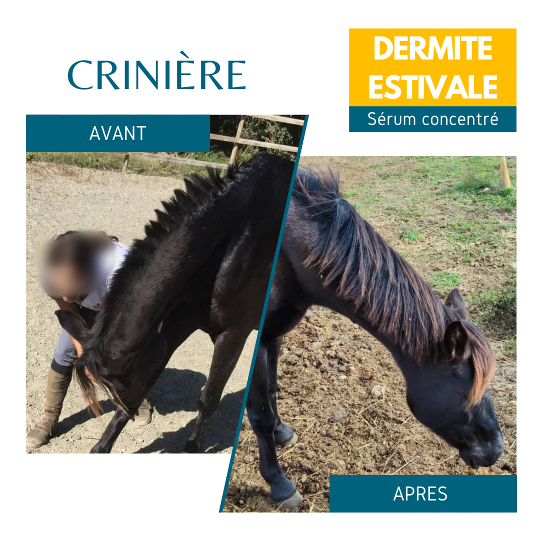 demangeaisons cheval serum dermite estival equi cosmetique