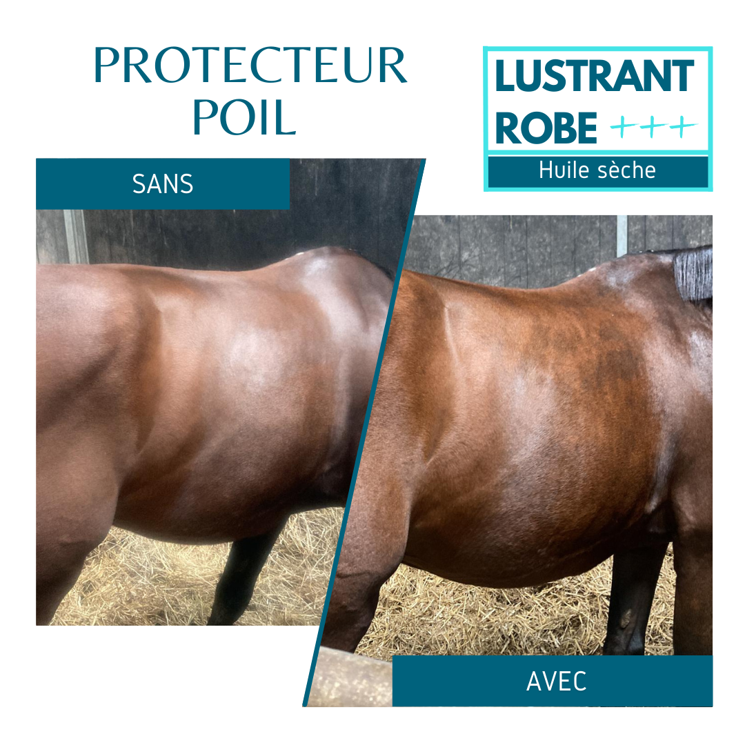 produit lustrant cheval naturel poil terne equi cosmetique justice