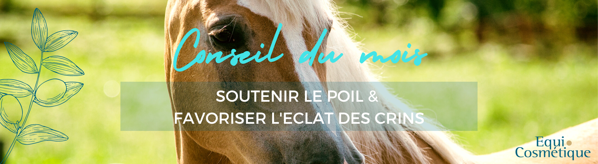 equi cosmetique avril soin naturel du poil mue nourrir les crins