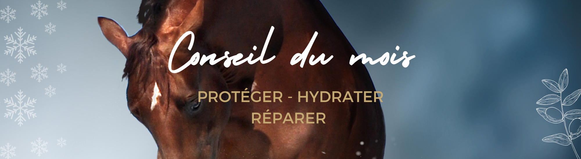 EQUI COSMETIQUE - SOIN NATURELS POUR CHEVAL