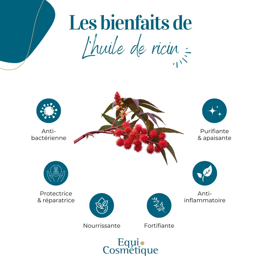 bienfaits de l huile de ricin