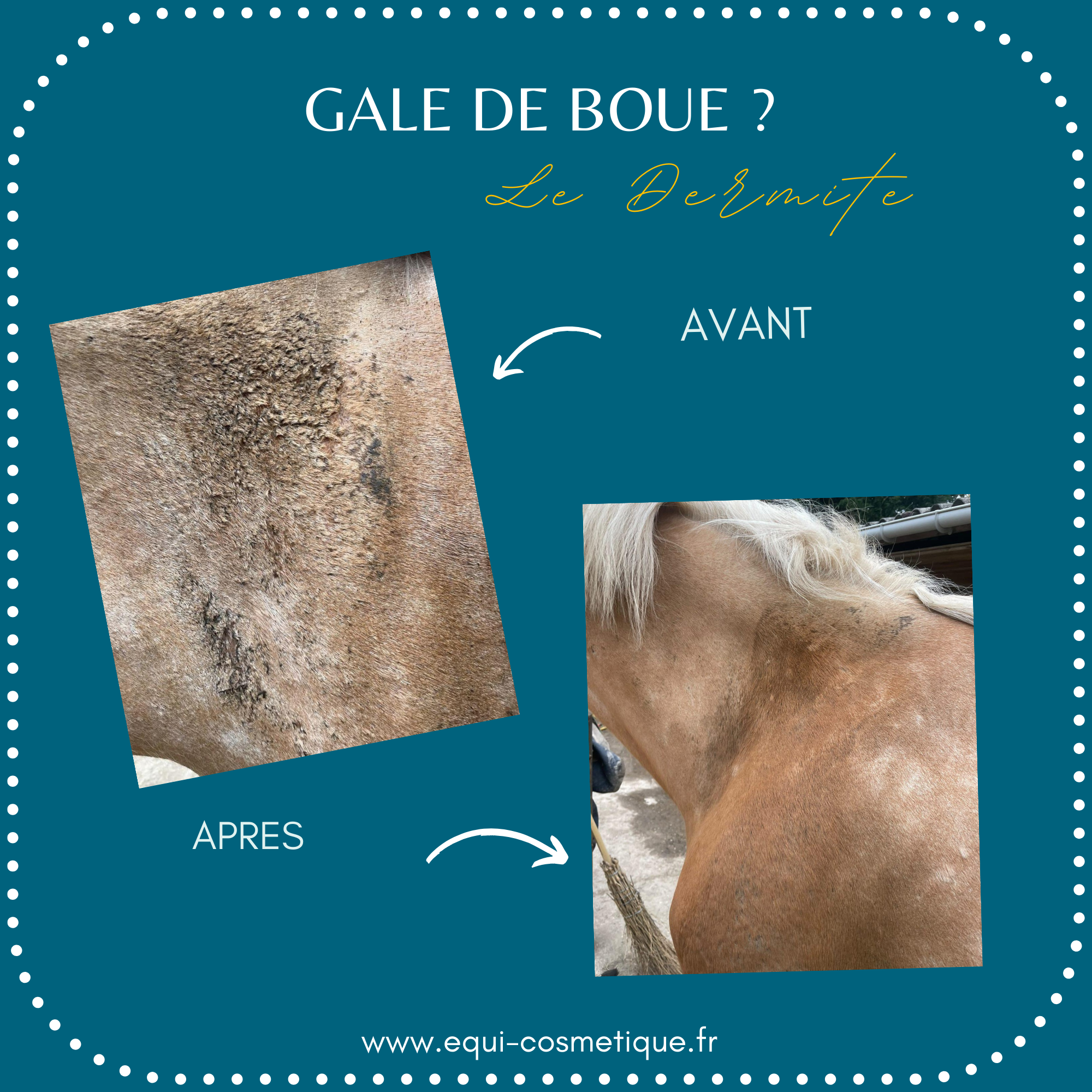 soin avant apres le dermite