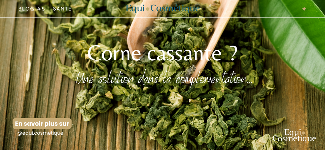 corne du sabot du cheval seche et cassante quels soins et complements pour reparer et hydrater